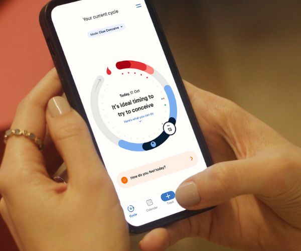 Clue: O App para Organizar seu Ciclo Menstrual 2 App-Clue-(Fonte-Google)