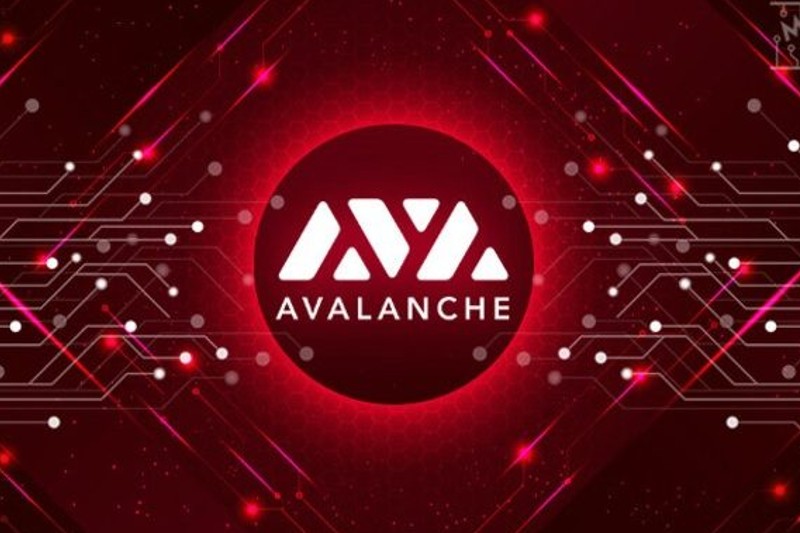 O que é a criptomoeda Avalanche? Entenda o seu projeto