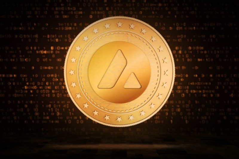 O que é a criptomoeda Avalanche? Entenda o seu projeto 