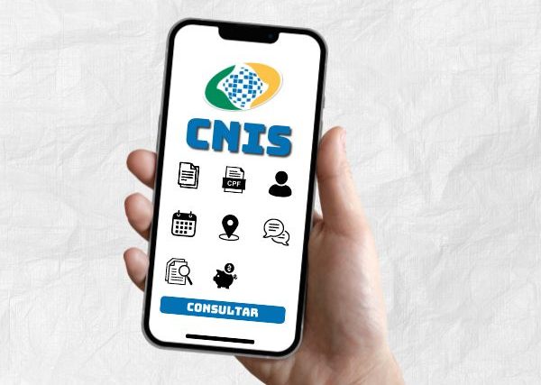 Consultar CNIS Aprenda o Passo a Passo Completo